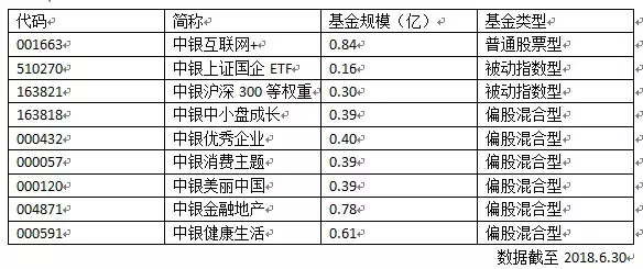 中银系两大主力股票基金节后全军覆没