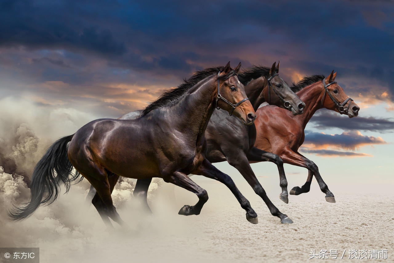 李贺马诗二十三首其四_李贺的马诗其二 古诗 - 齐齐哈尔诗词网