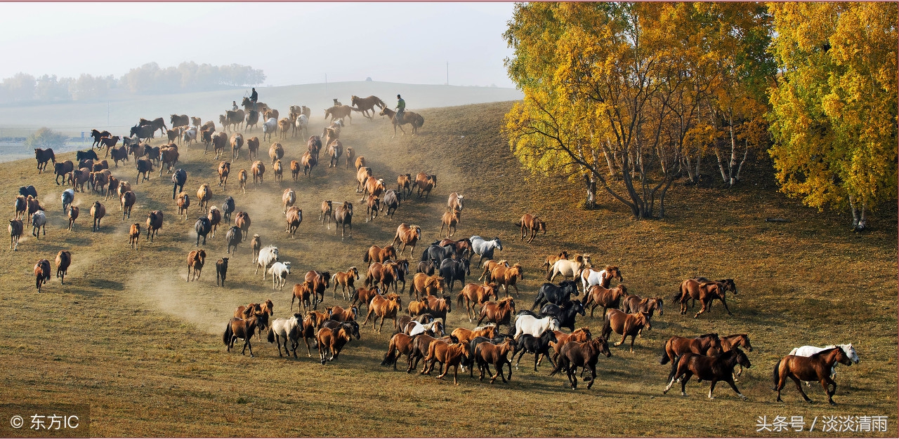 暂系腾黄马,仙人上彩楼.须鞭玉勒吏,何事谪高州?
