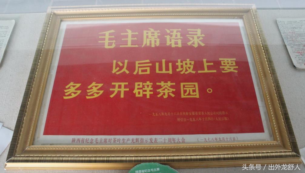 安徽舒城：伟人曾游览的舒茶，“一颗印”与小兰花茶的文化情愫！