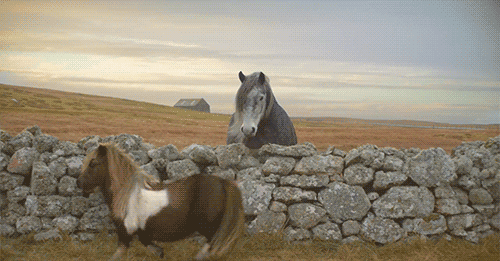 涨知识!倒着跑居然可以保护膝盖