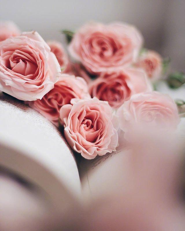 富有诗意的句子,优美有意境,唯美到哭!