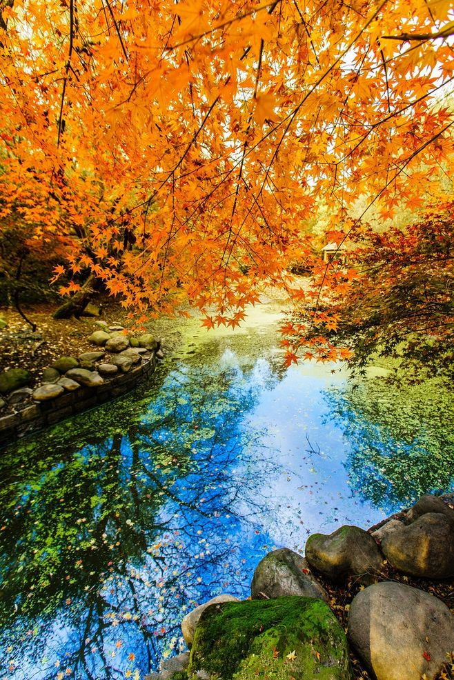9首描写秋季的经典古诗，赏尽秋色美，品尽人生味