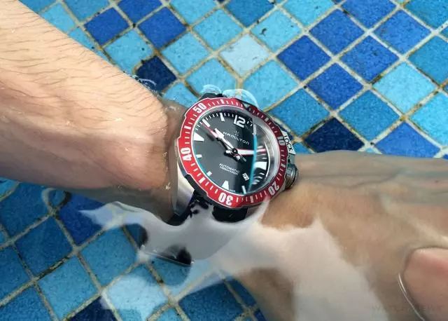 男人不能没有一只潜水表！盘点7支最佳入门款手表