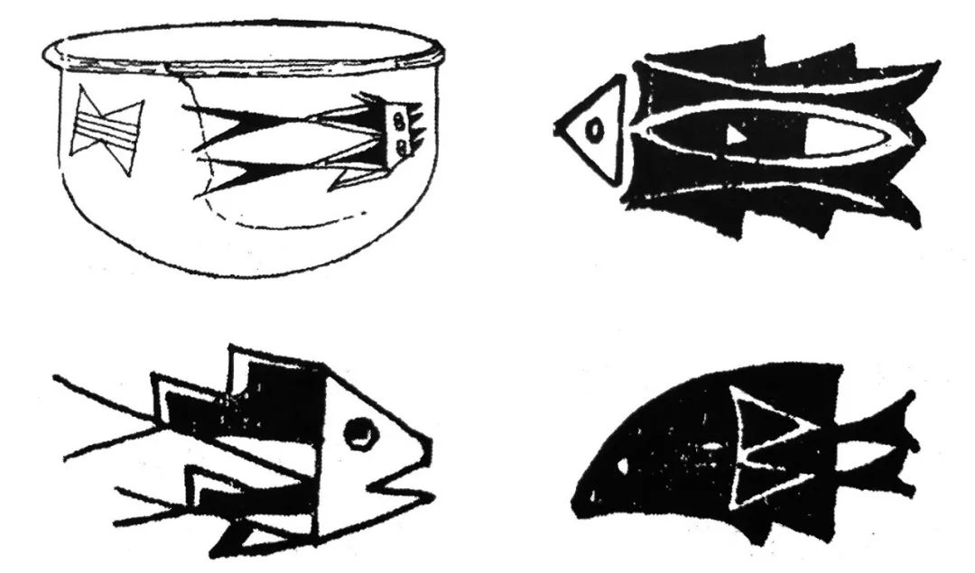 《山海经》里“一头十身”的怪鱼，是乌贼鱼吗？