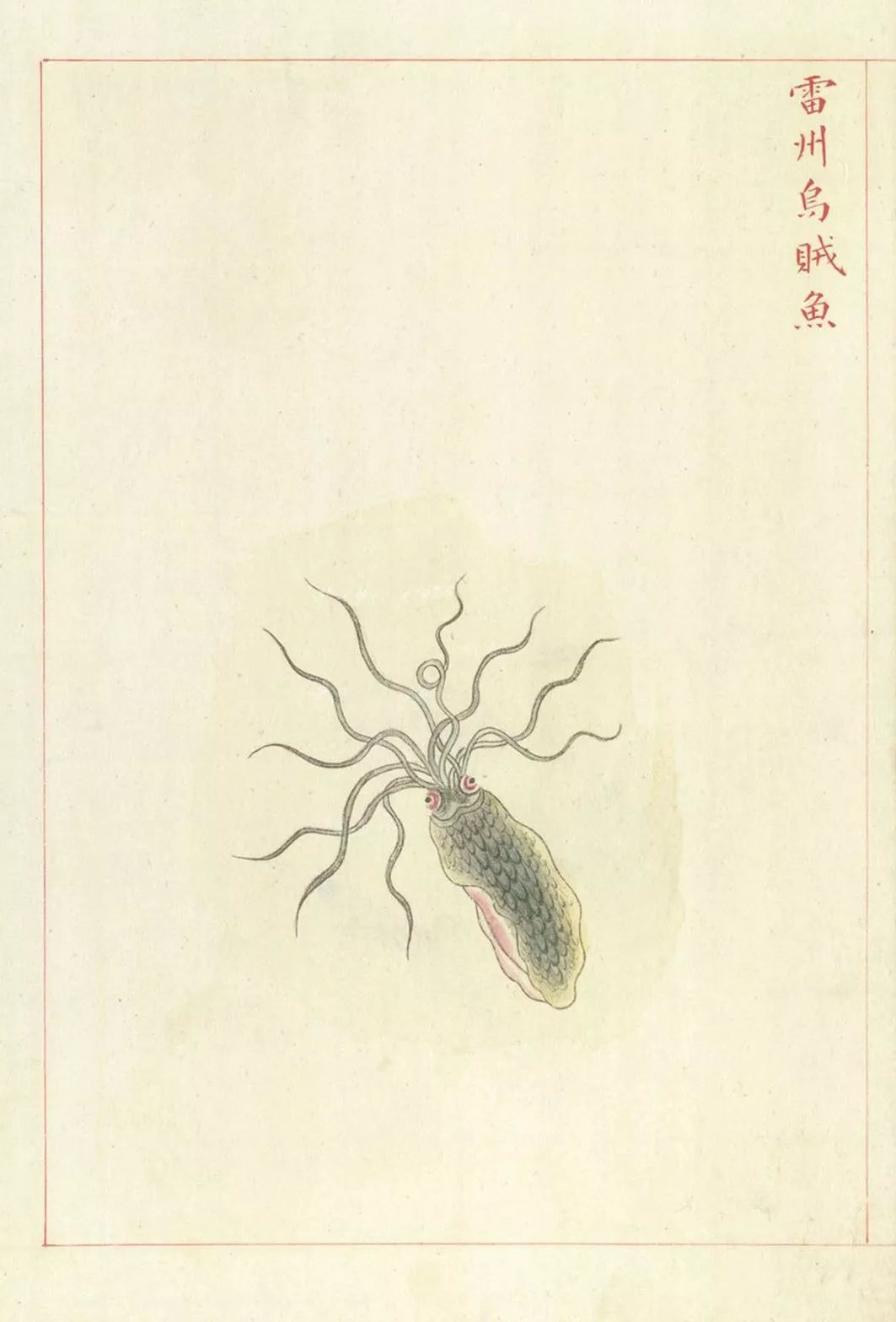 山海经中十大异兽山海鱼是什么鱼来的