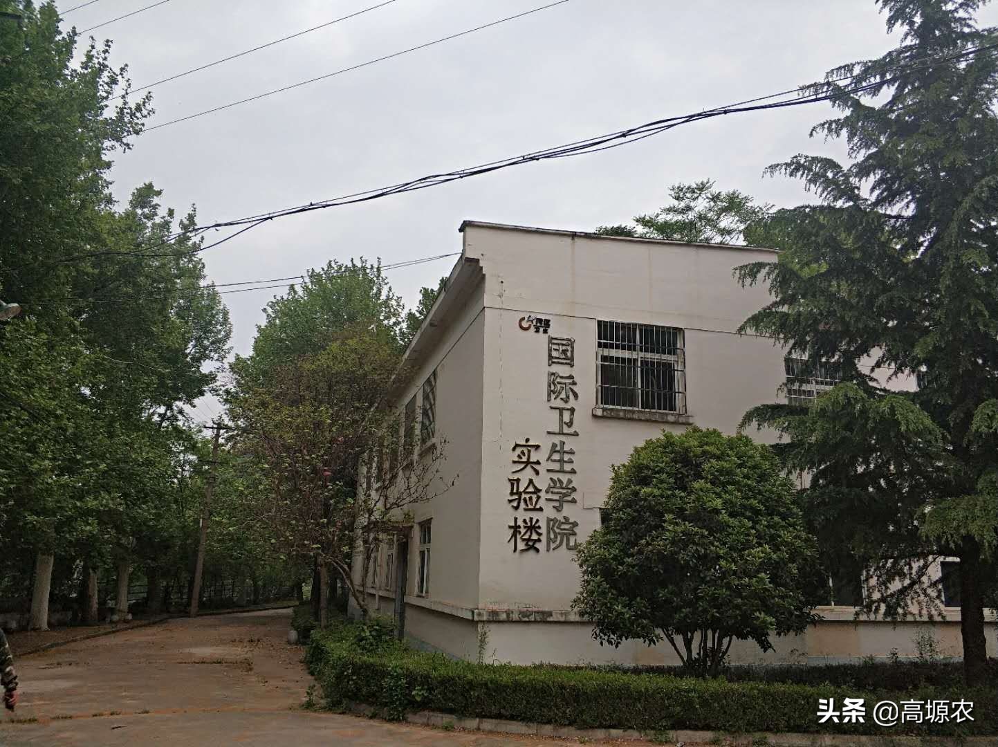 我的大学之西安华西大学返校重游