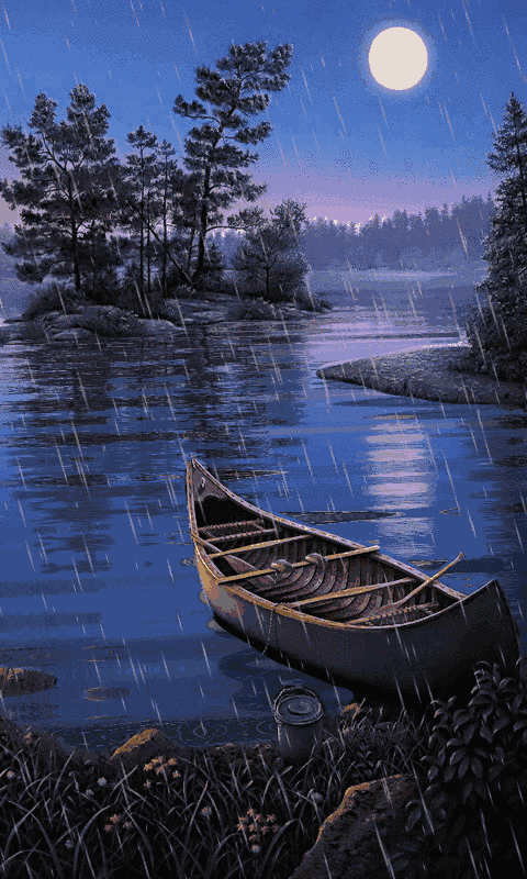 夜来风雨声,花落知多少是哪首诗_昨夜风雨的诗 - 云林新闻励志网