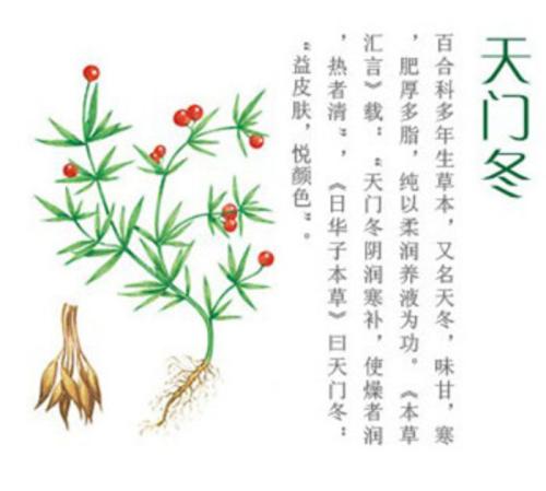 冬季润肺去燥滋阴润燥降火的中成药