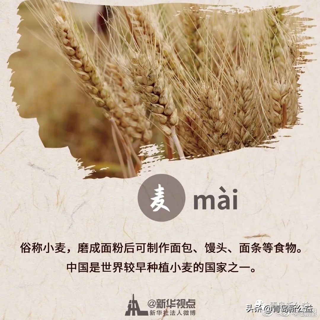 五谷丰登的丰登是指什么_五谷丰登是哪五谷