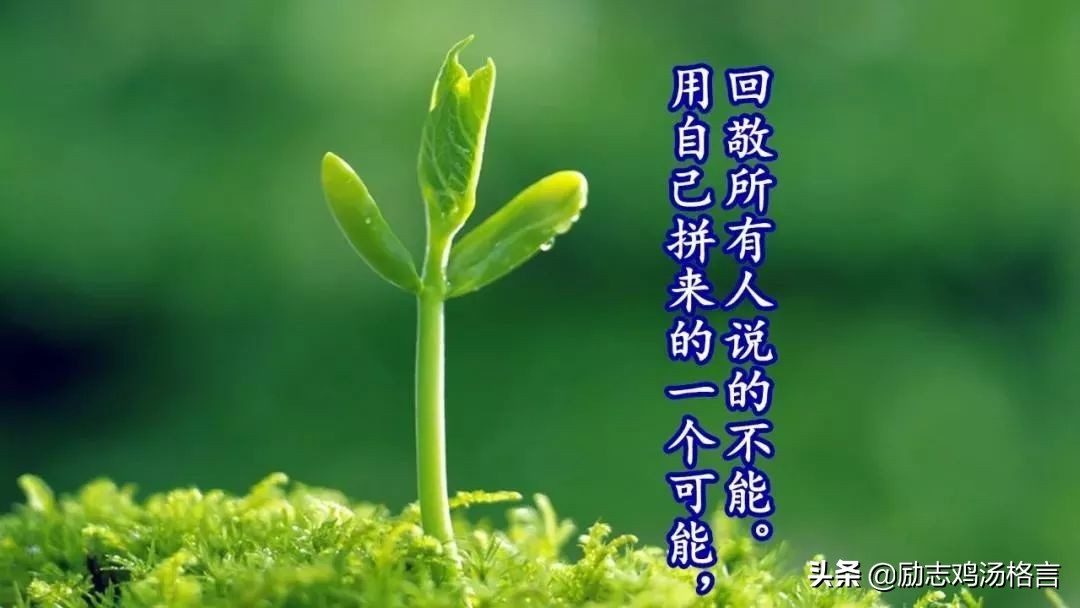 人生感悟的哲理句子,精辟透彻