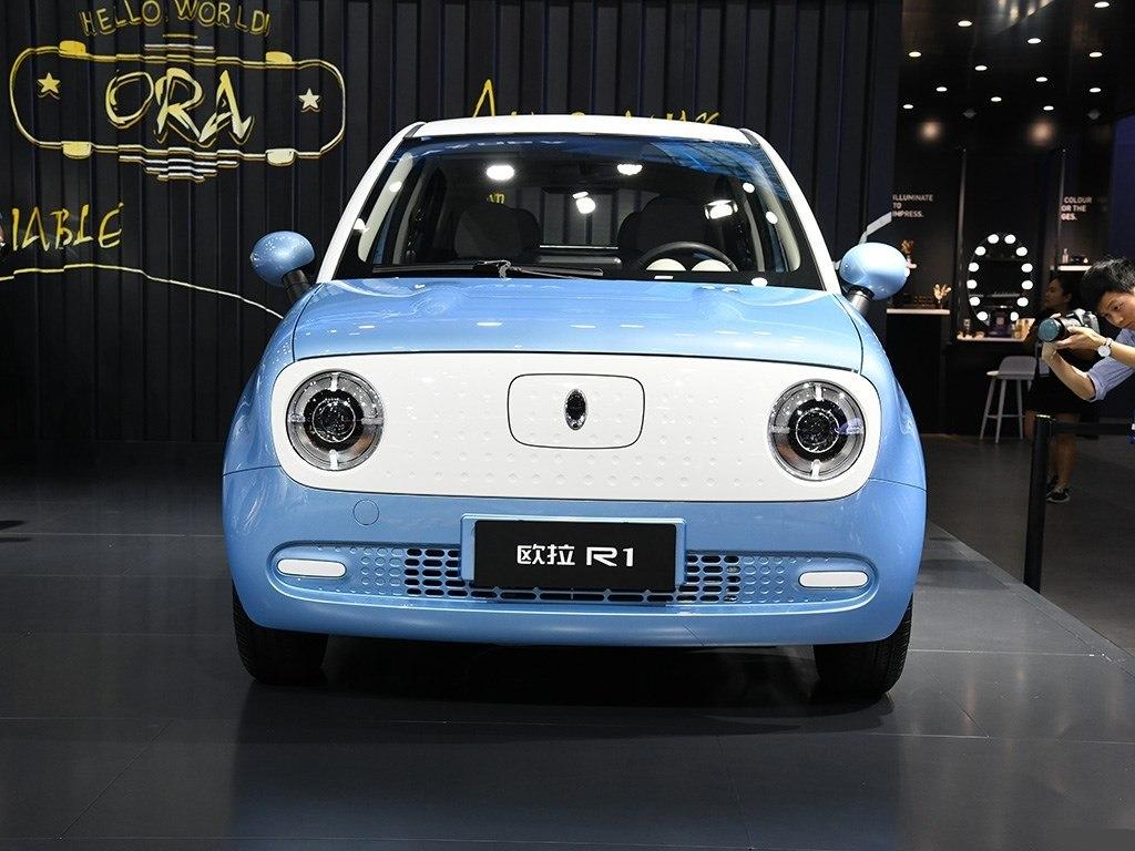 长安电动车欧拉r1价格_长城电车欧拉r1报价 - 阜阳汽车网