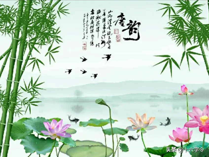 「菜鸟学诗」江上柳如烟，雁飞残月天。