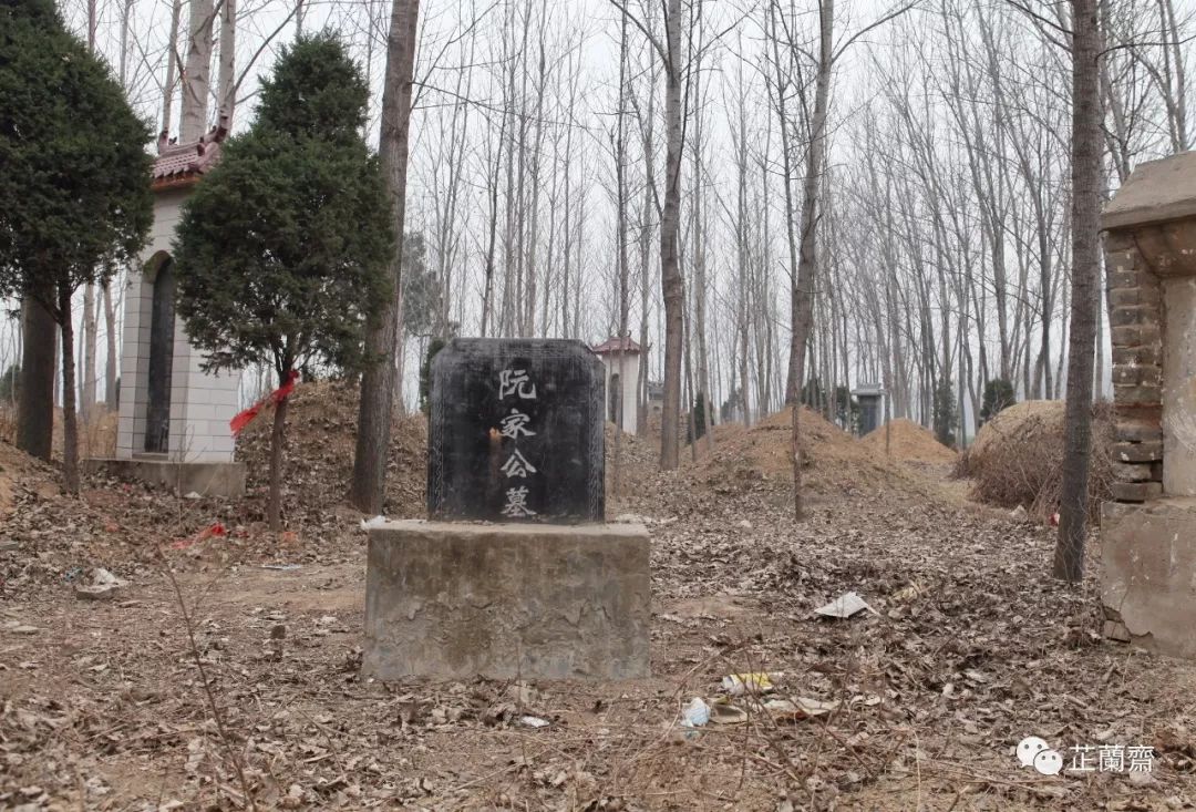 后人的公墓顺利找到阮庄村,在村北头的大片田地中远远地看到了阮籍墓