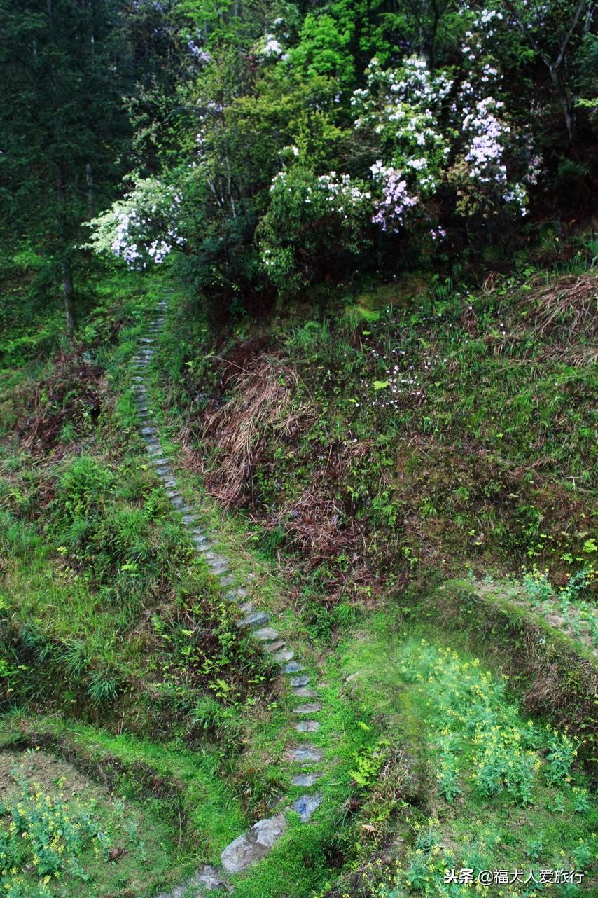 桂林山水体验报告：“龙脊”山路上的瑶寨背夫
