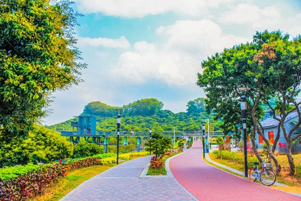 深圳最适合现在游玩的免费景点