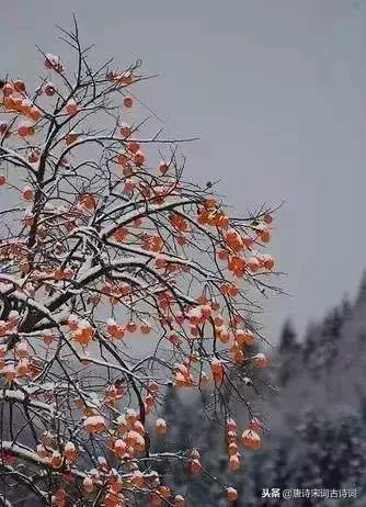 大雪时节，36首咏雪古诗词带你欣赏绝美之至