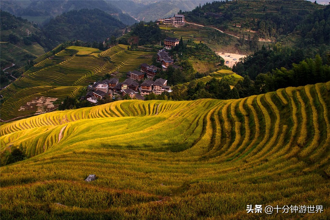 龙脊古壮寨梯田观景区