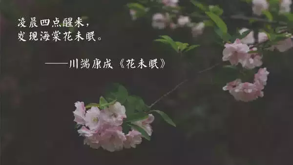 「花未眠•江苏的花」—桃花坞里桃花庵：泰州桃园