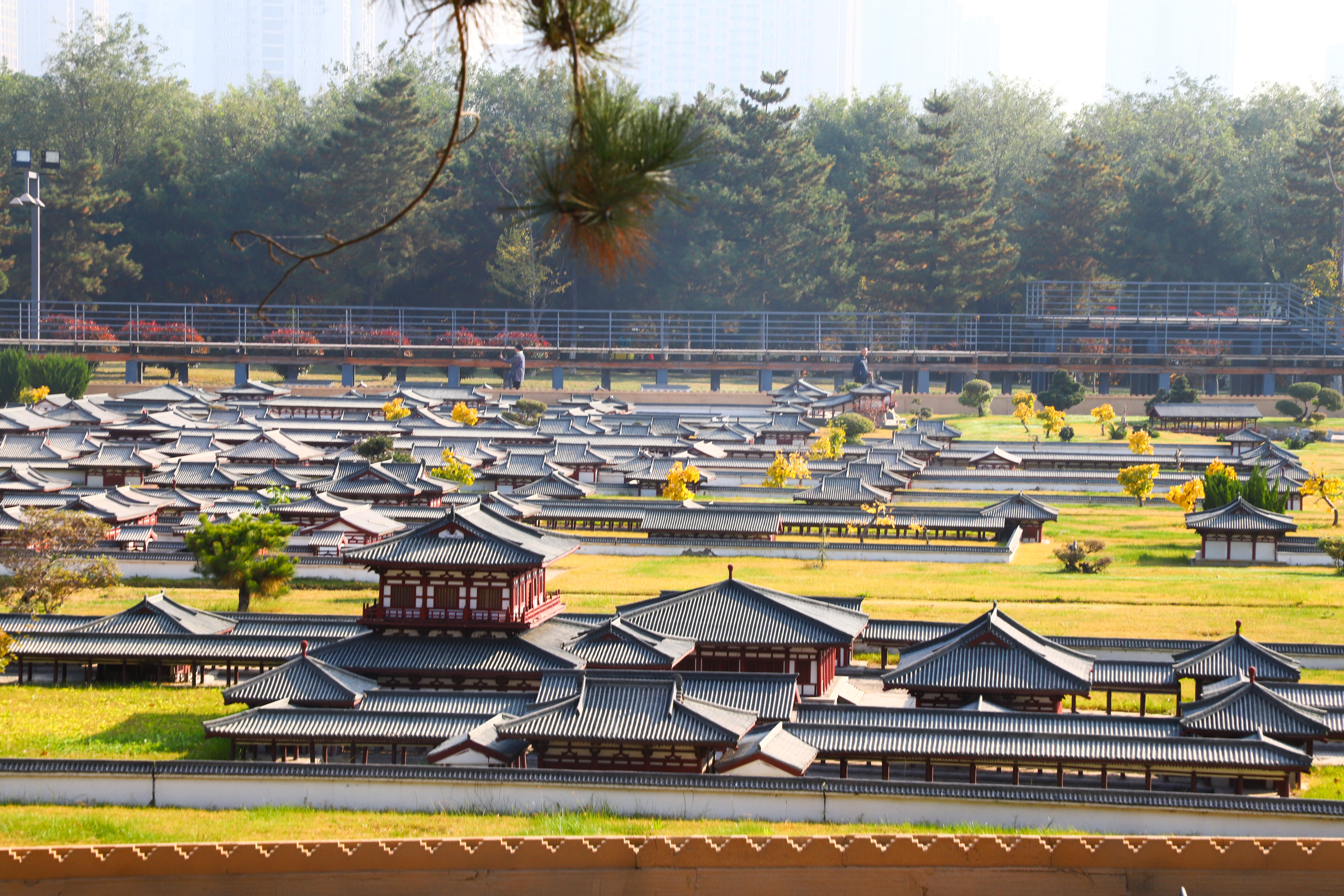 唐代都城长安隋唐长安城