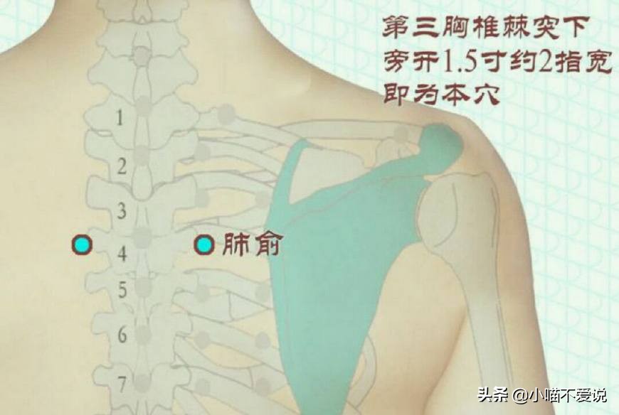 心气、肝气、脾气、肺气、肾气，都有个"补气穴"，气足，人长寿