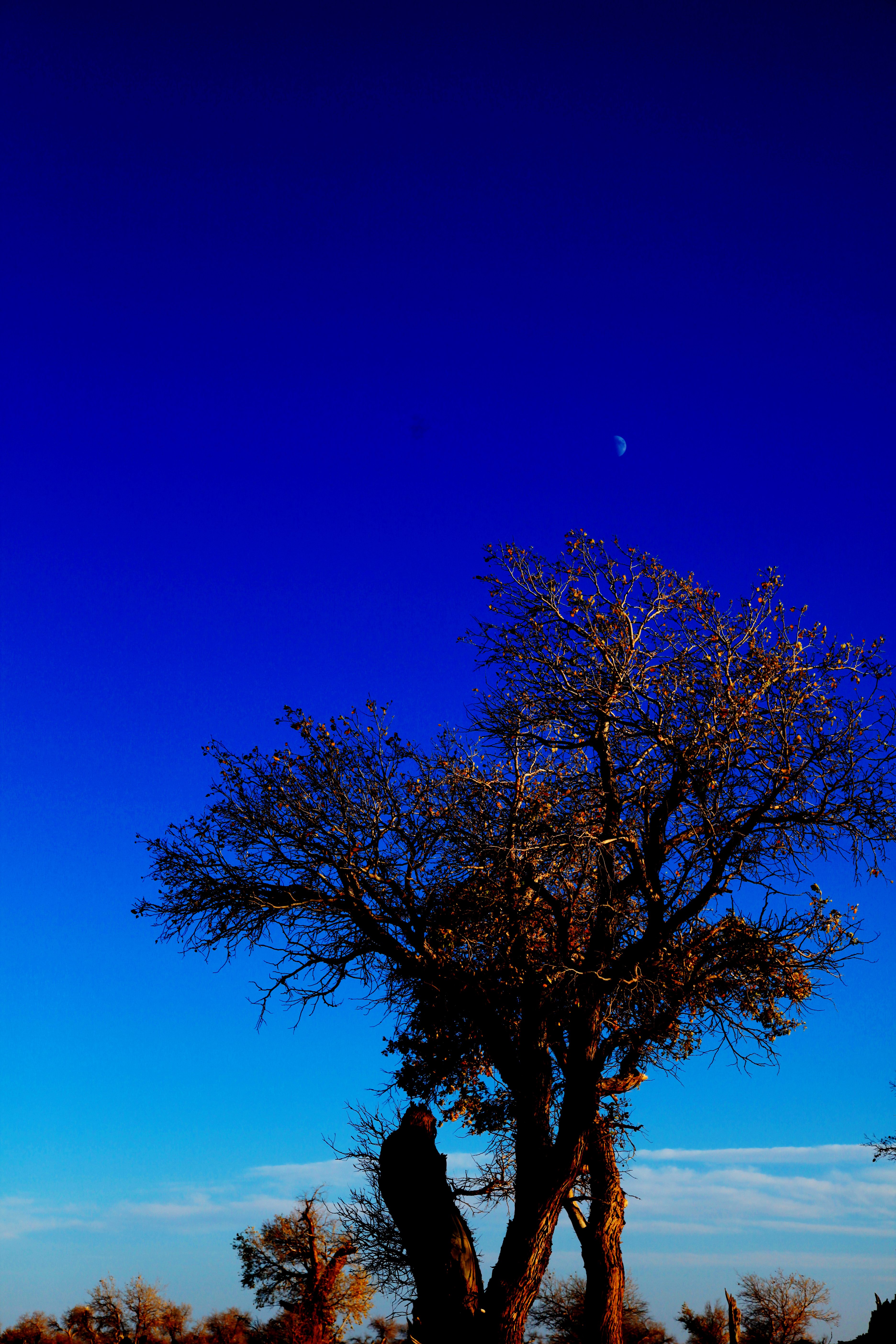 日暮沙漠陲力战烟尘里大漠的落日下