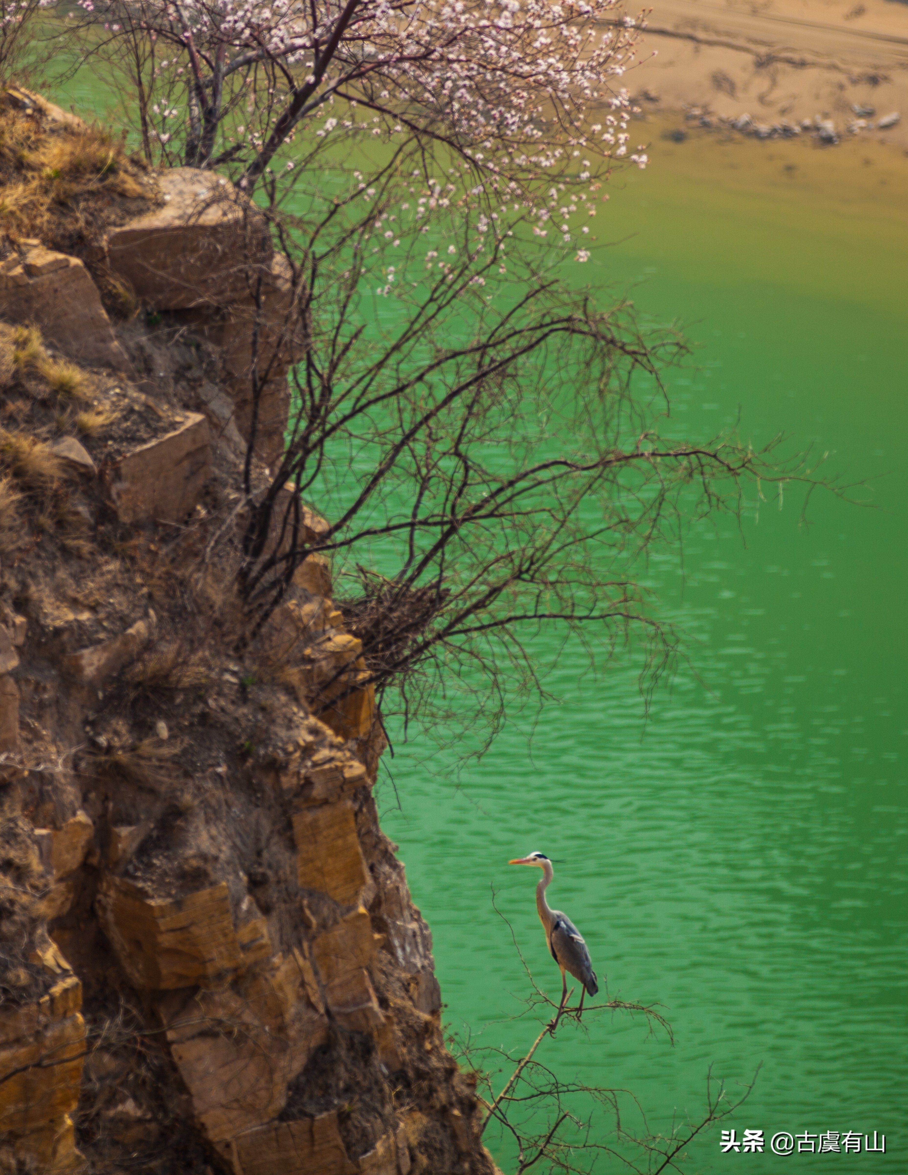 "西塞山前白鹭飞,桃花流水鳜鱼肥 "的诗意再现平陆县好汉坡