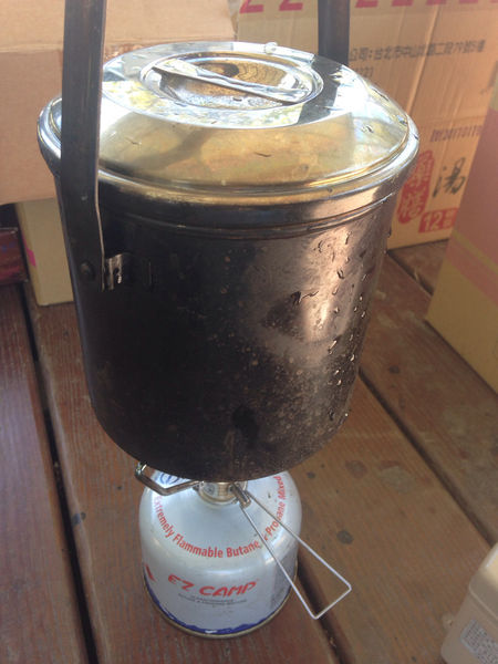 山间常见的野姜花