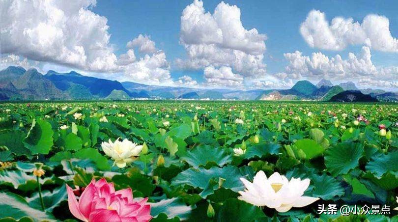 国内小众景点：云南文山普者黑——世间罕见喀斯特山水田园