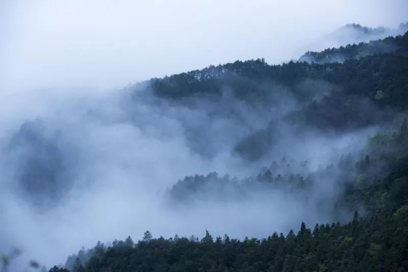 雨后的庐山云雾缭绕美不胜收