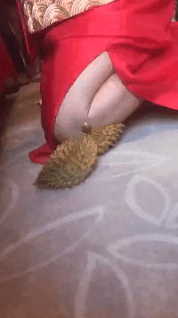 搞笑动图GIF图片：终于看到跪榴莲的了！这样玩过头了吧！