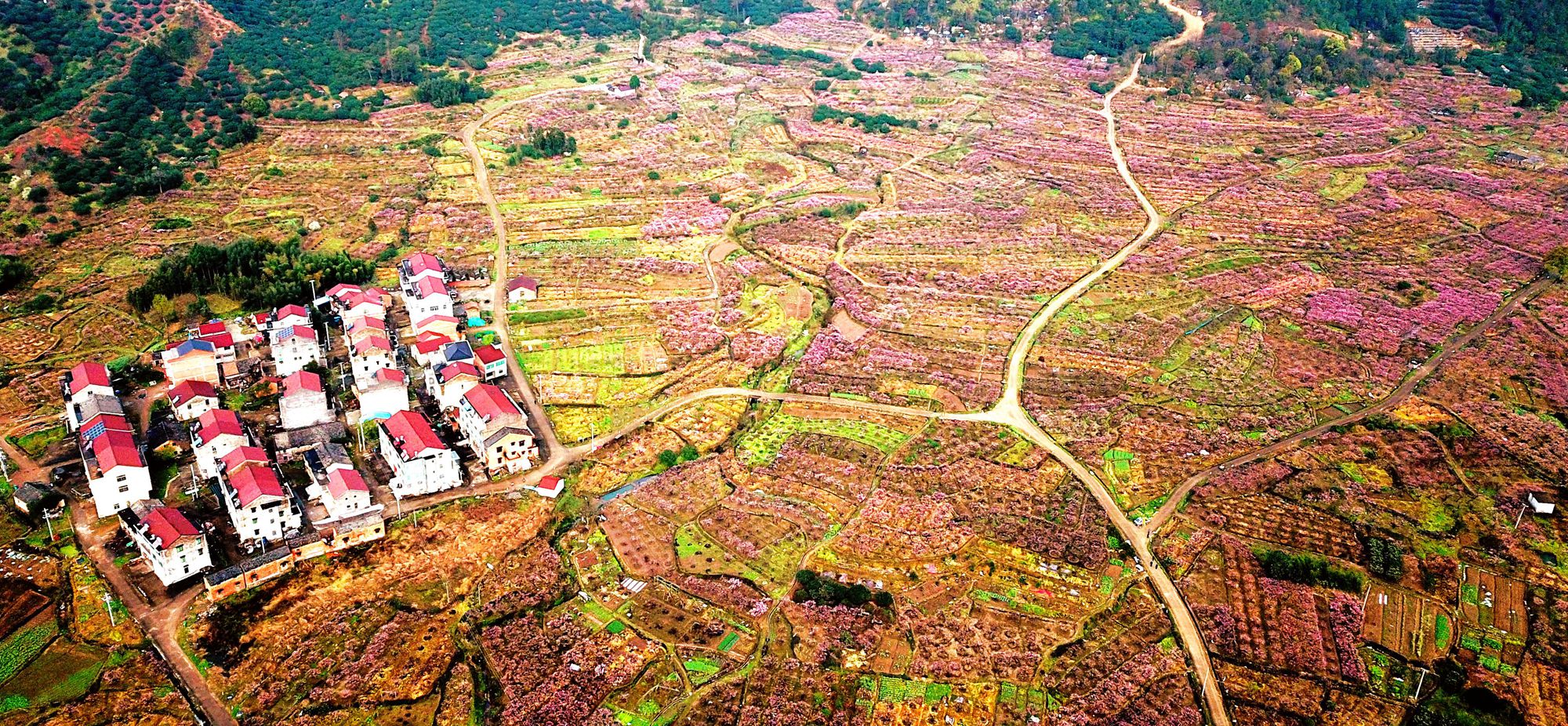 2019年3月23日,游客在临海市白水洋镇桃花源景区参观.