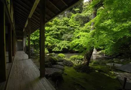 庭院深深简非凡禅意庭院小景图片