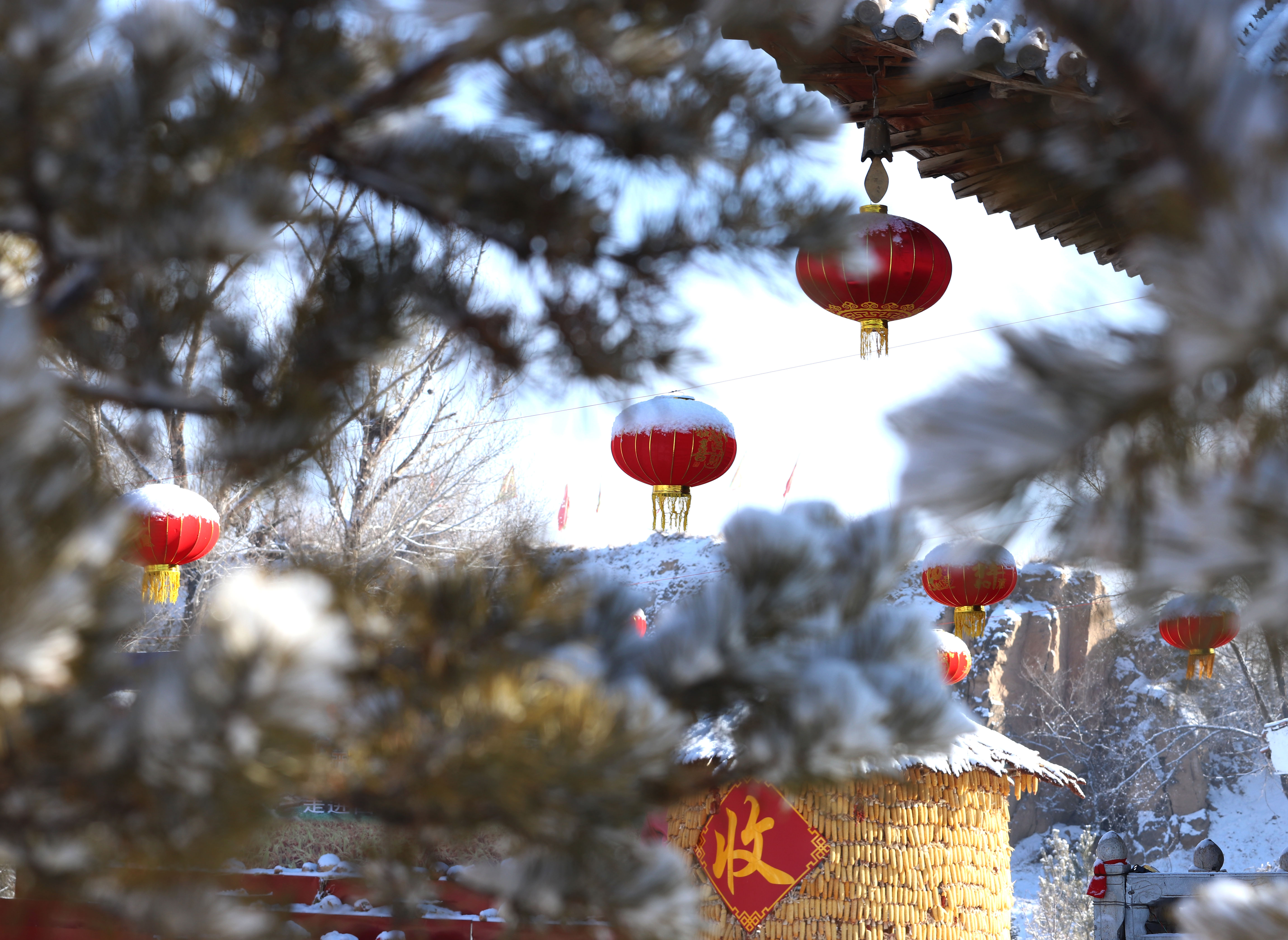 瑞雪兆丰年,春风迎新岁什么意思 - 密云旅游