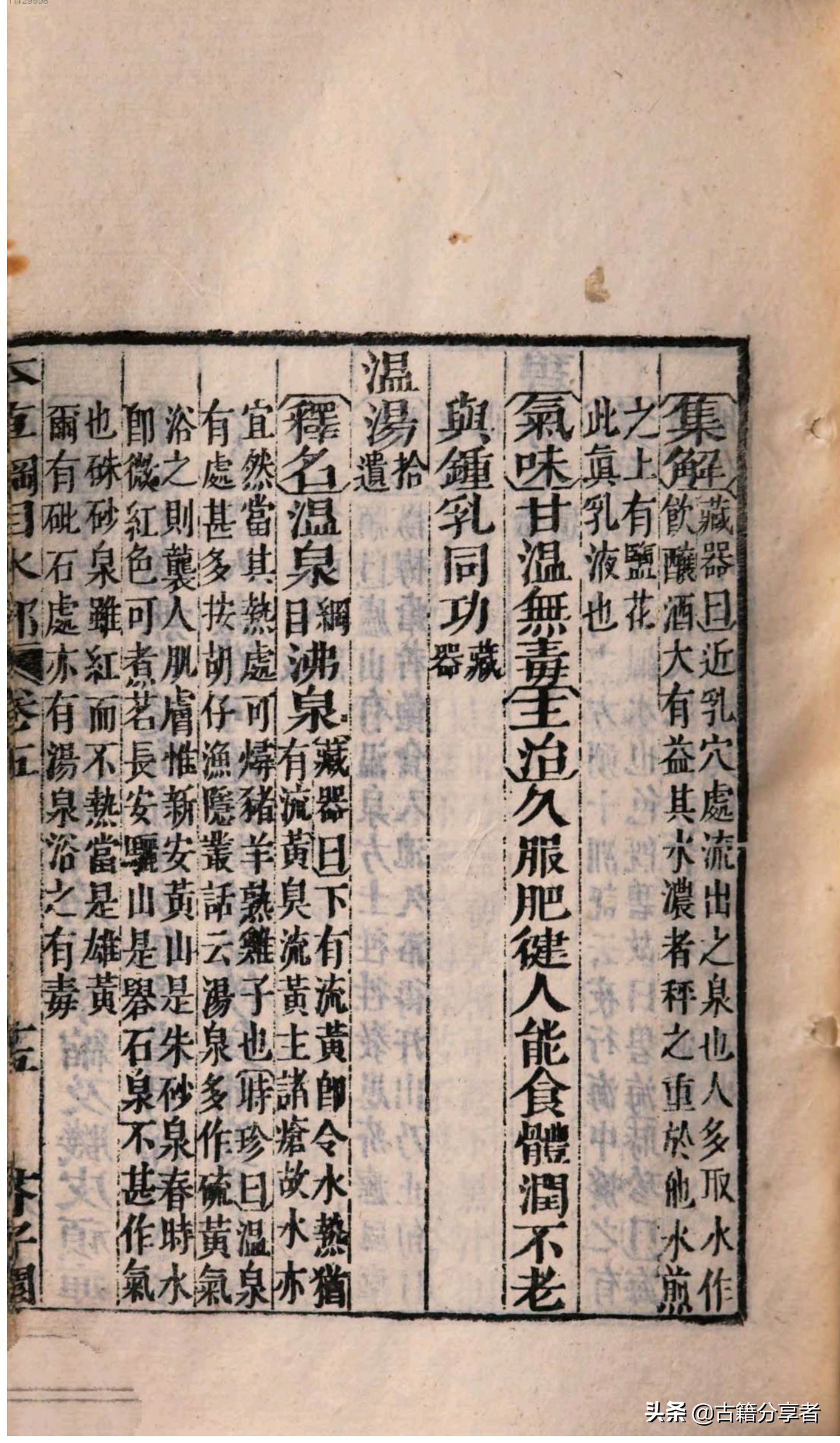 本草纲目中医世家_中国中医古籍总目在线阅读