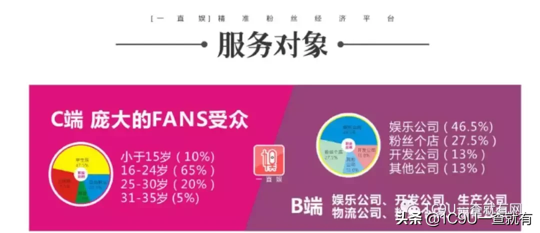 2019年新型电商平台类企业商业模式全研究 电商平台类商业计划书