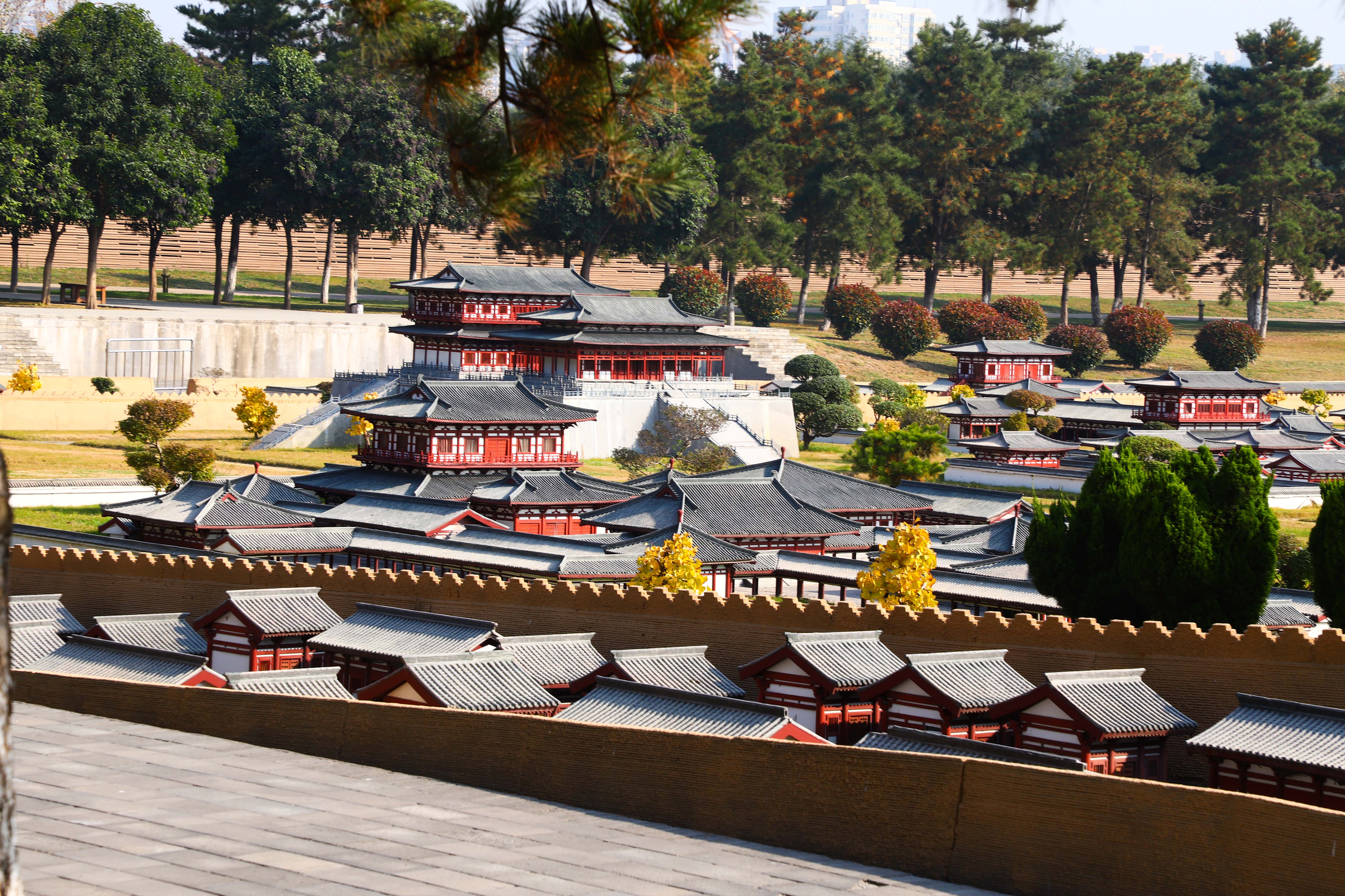 唐代都城长安隋唐长安城