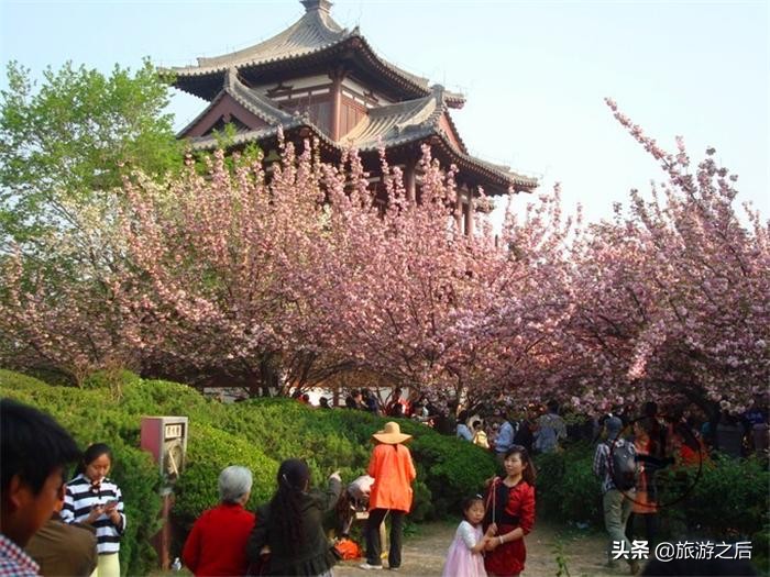 陕西小众旅游地，西安青龙寺，春天赏樱花的好地方