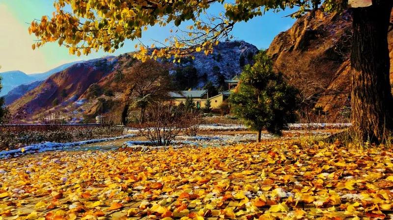 六盘山的秋有多美，这些诗词早已揭晓
