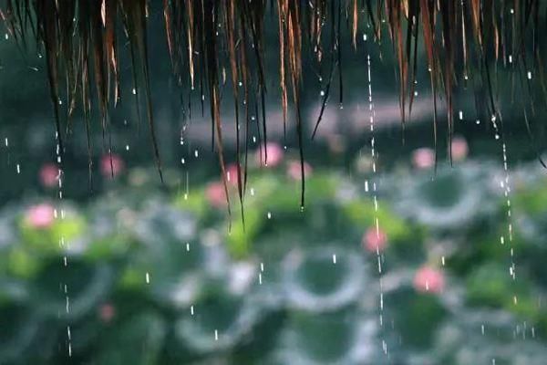 温庭筠最经典的一首“雨”词，语浅情深，引起了千古共鸣