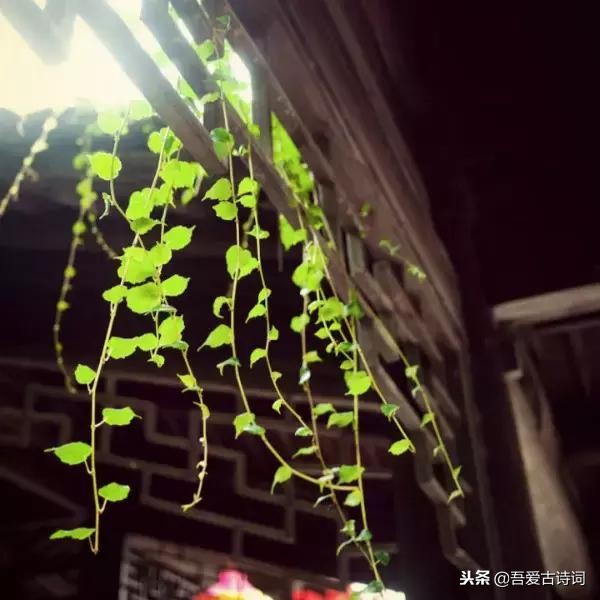 笑看风云的下一句是什么 笑看风云感慨人生诗句 齐齐哈尔诗词网