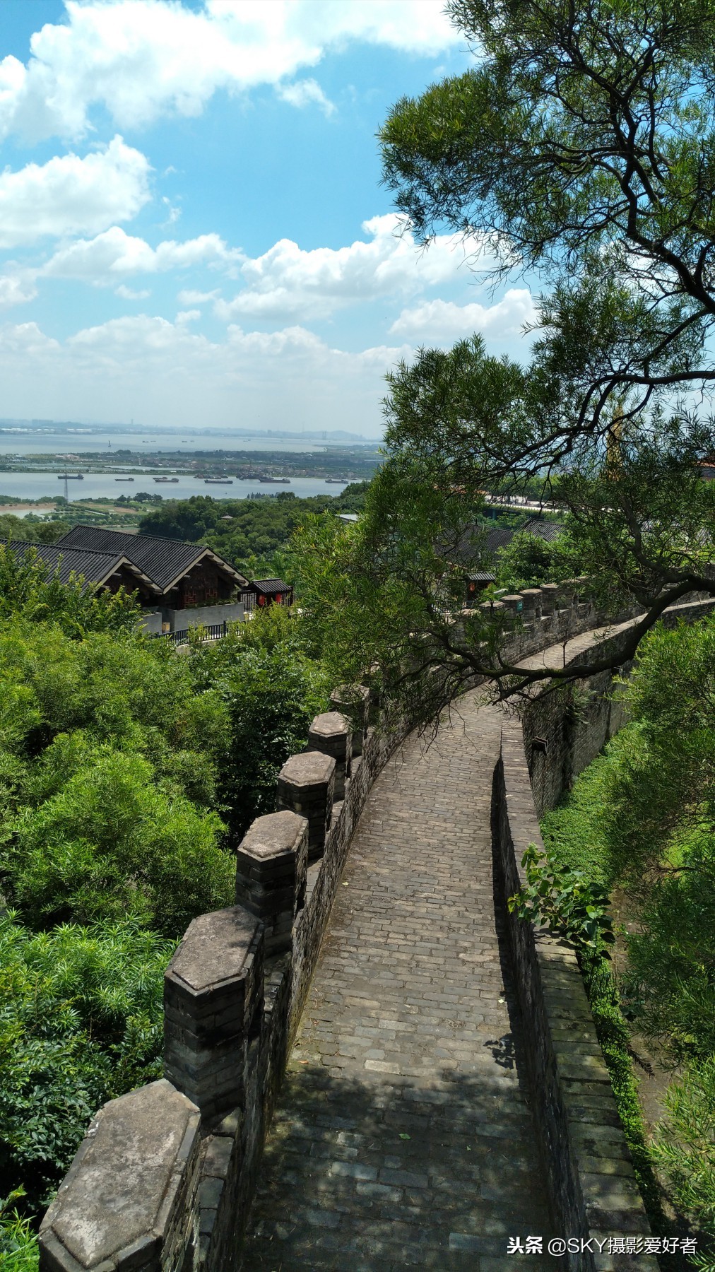 莲花山图片及介绍图片