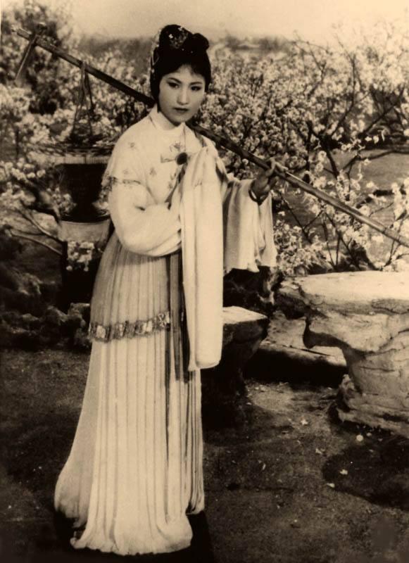 看过《红楼梦》,读过葬花词,但您肯定没见过这么多不同的葬花词