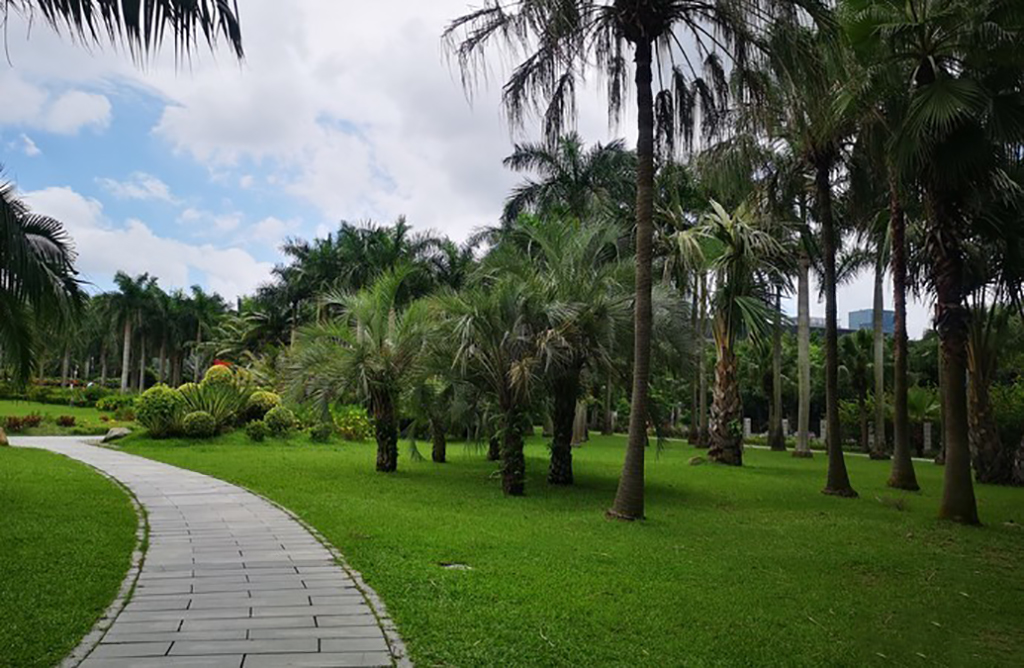 深圳莲花山公园游览图_深圳莲花山风景区