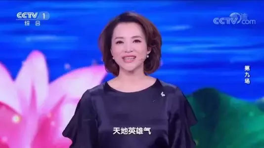 《中国诗词大会》第四季收官，陈更夺冠！