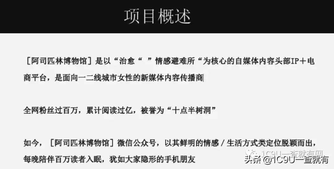 2019年新型电商平台类企业商业模式全研究 电商平台类商业计划书