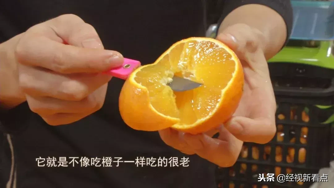 我们在武汉约见了那个最火的橙子……