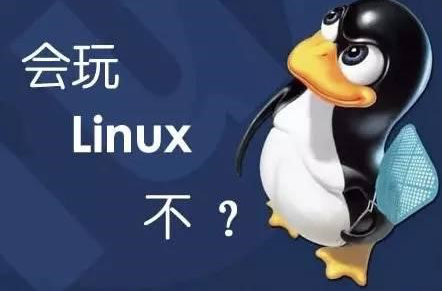 看完这篇，你应该就知道什么是Linux了~