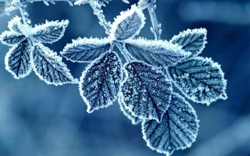 今日霜降，关于「霜降」的经典诗词送给您
