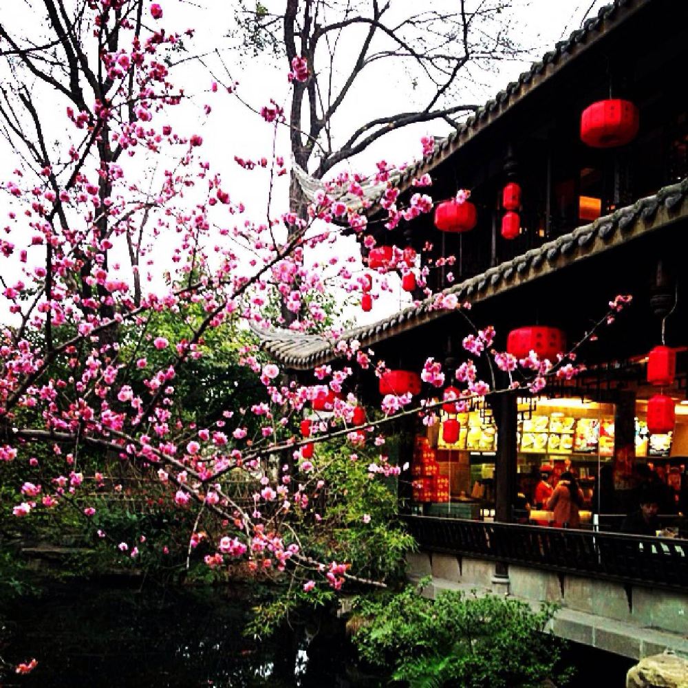 成都武侯祠的美景与英雄气息